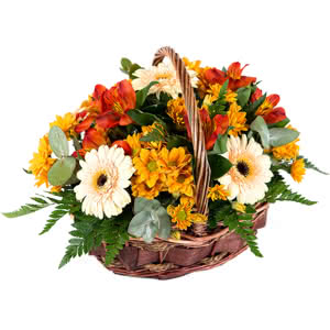 Madeira - Cesta de gerberas y margaritas