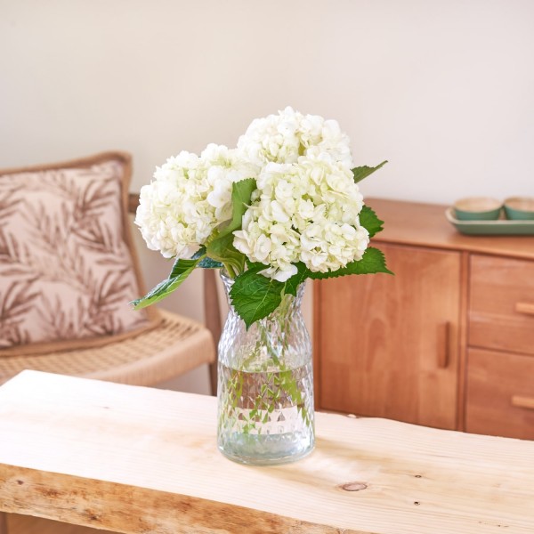 Ramo de hortensias blancas - Base