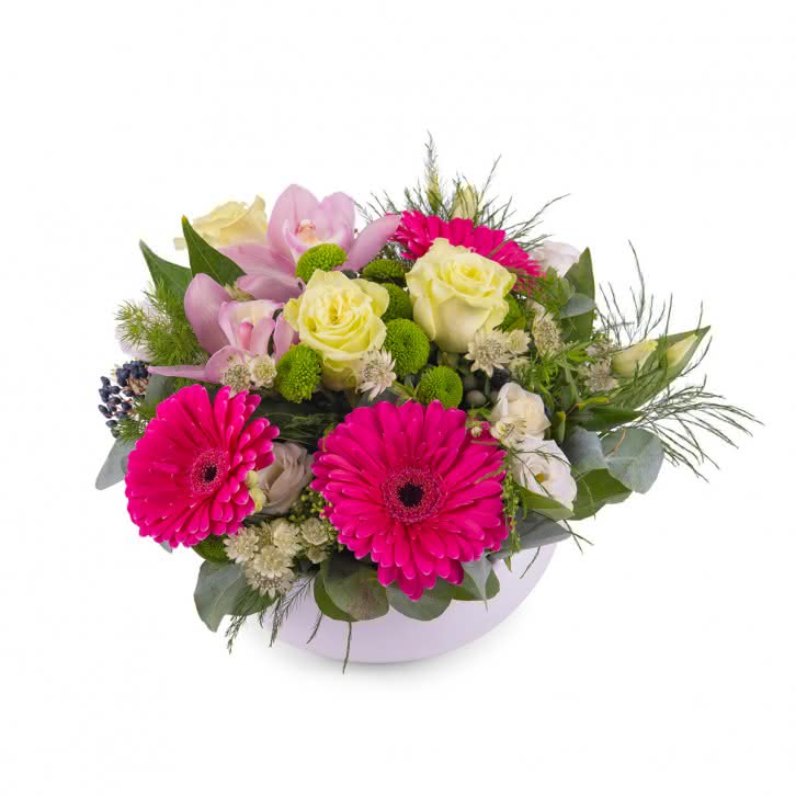 Sicilia, Centro de Gerberas Fucsia