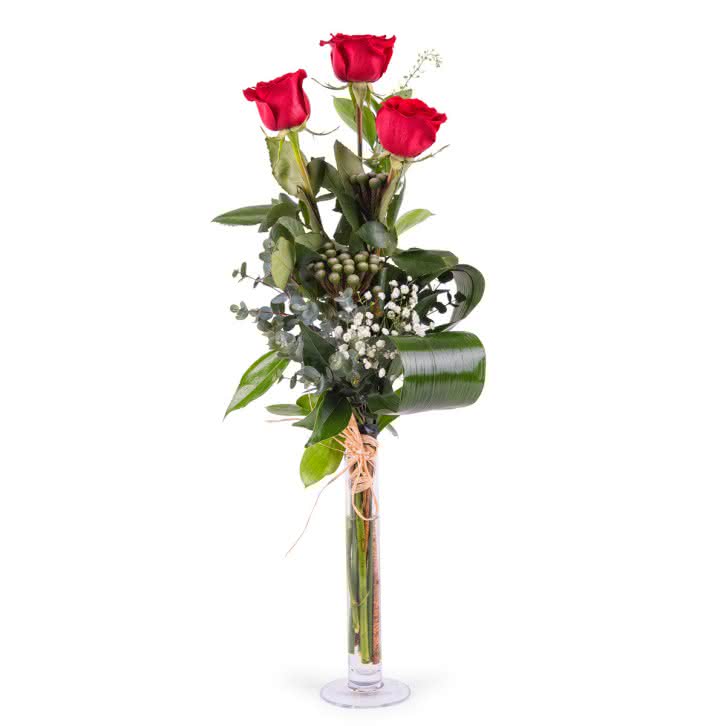 Tercia, Arreglo de Rosas Rojas de Tallo Largo