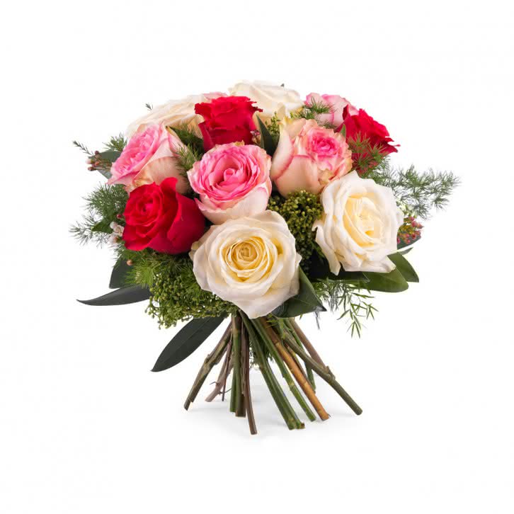 Delicadeza, Rosas Multicolor de Tallo Corto