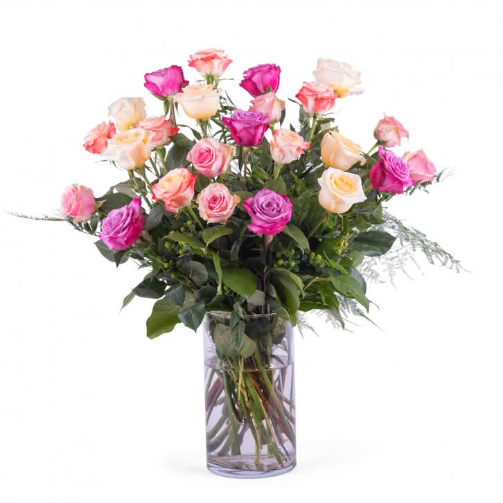 Entrega, 24 Rosas Multicolor de Tallo Largo