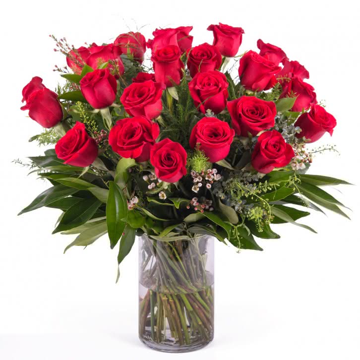 Devoción, 24 Rosas Rojas de Tallo Largo