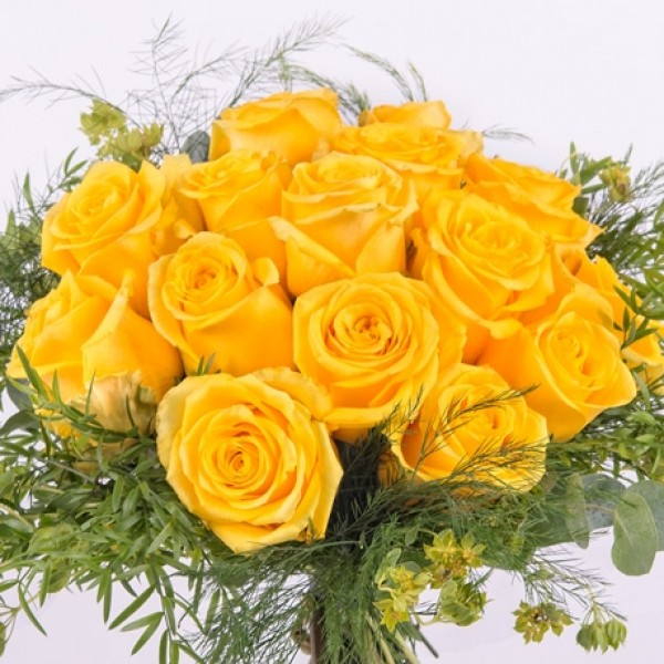 Amanecer, Rosas Amarillas de Tallo Corto