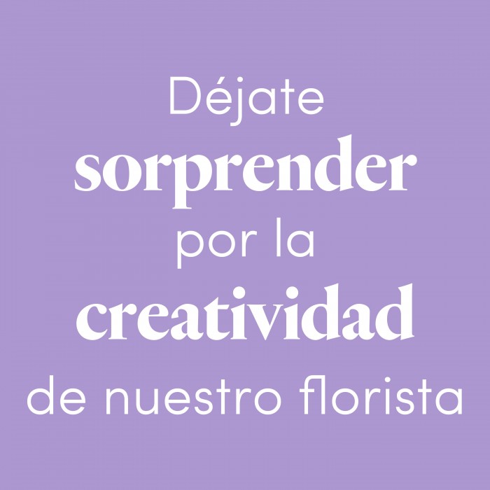 Centro del Florista