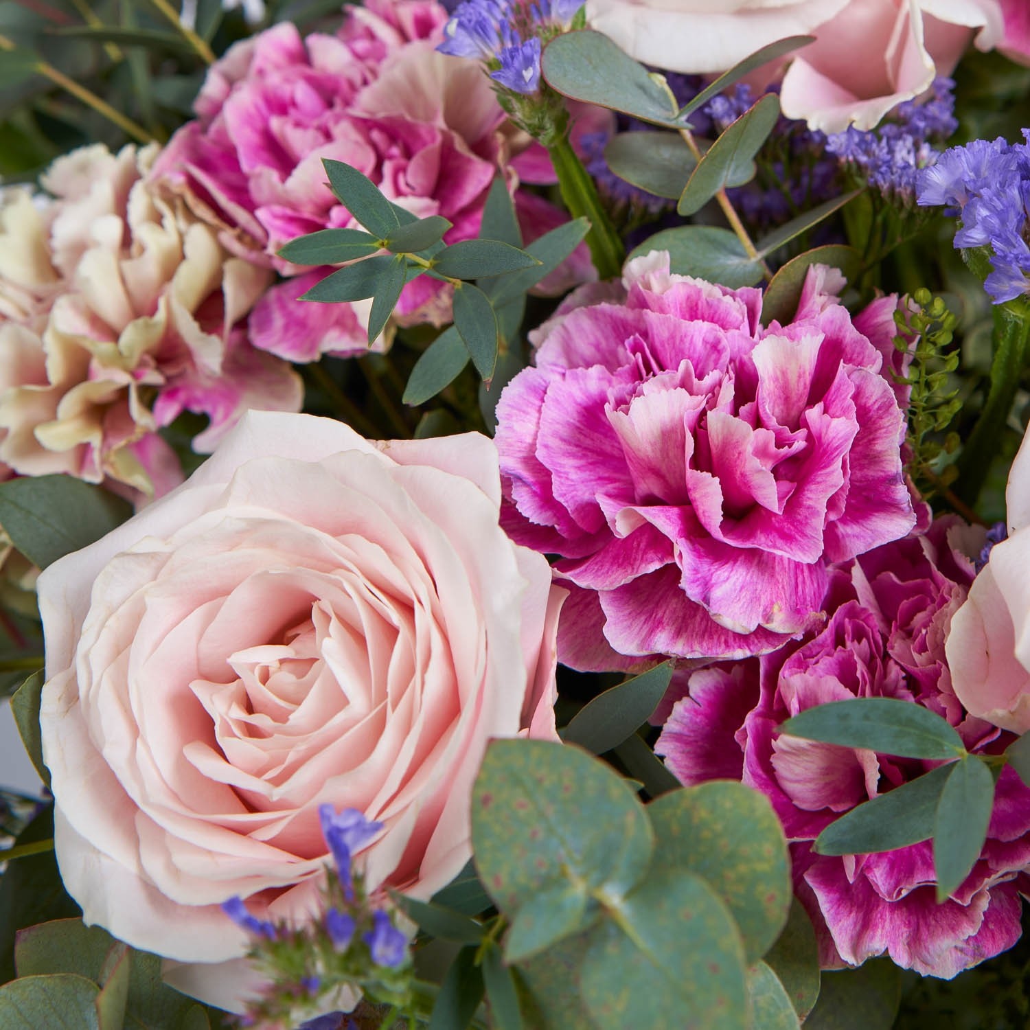 Enviar flores Ramo de claveles y rosas Interflora
