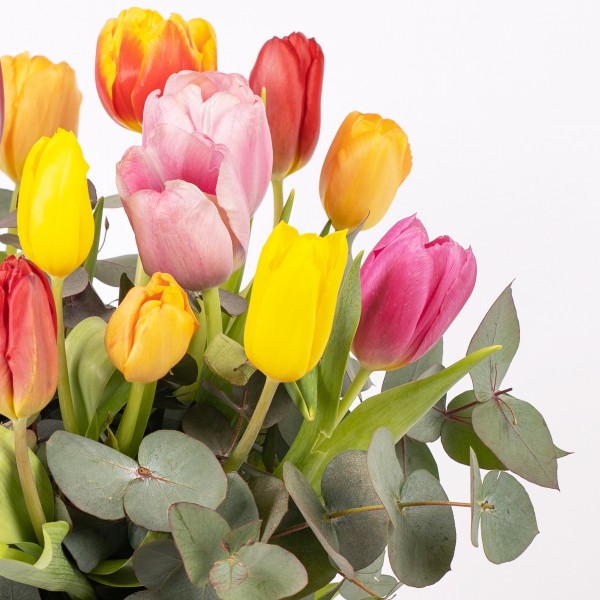 Ramo de tulipanes, Ramo multicolor de tulipanes