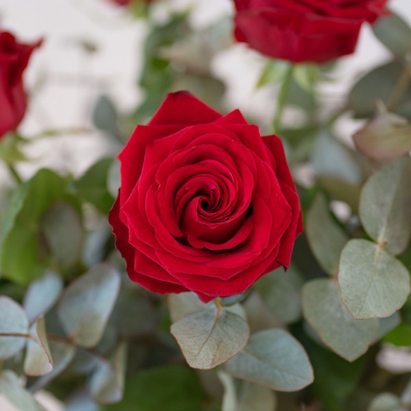 Tercia, Ramo de 3 rosas rojas