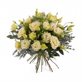 Bouquet of Lisianthus, Bouquet of Lisianthus