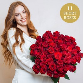 11 Short Stem Roses, 11 Short Stem Roses