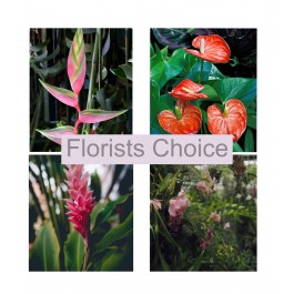 Florists Choice, Florists Choice