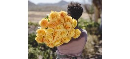 Rosa Unitaria de 70 cm de color amarillo, Rosas Amarillas