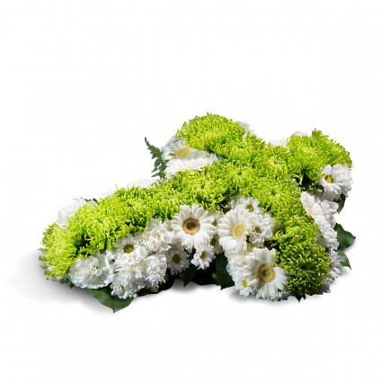 Cruz Pequeña, Cruz pequeña blanca y verde