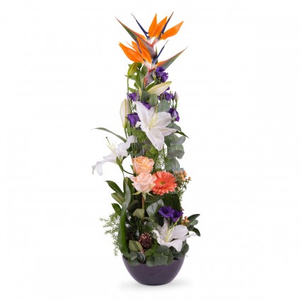 Everest, Centro vertical Tonos Blancos