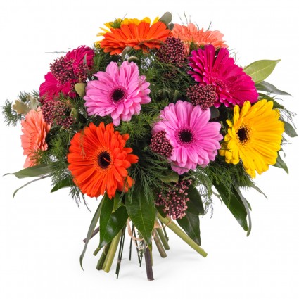 Egeo, Ramo de Gerberas multicolor