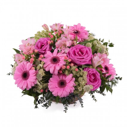 Ternura, Cesta de Gerberas Rosas