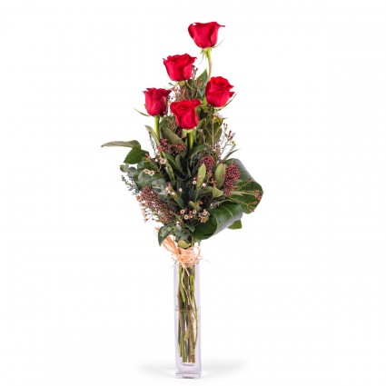 Penta, 5 Rosas Rojas de Tallo Largo
