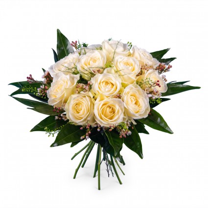 Pureza, Rosas Blancas de Tallo Corto
