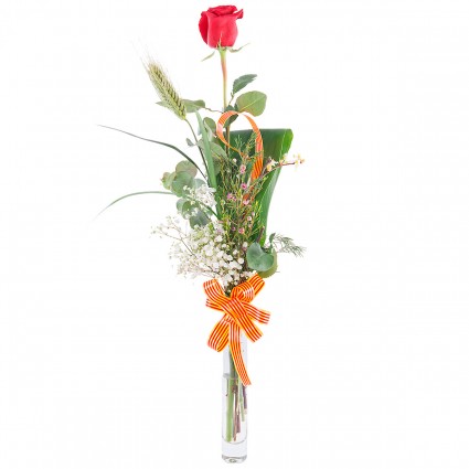 Día de la Rosa, Rosa Roja con acabado tradicional Día de la Rosa