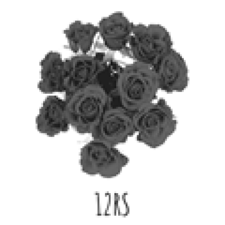 12 rosas de tallo corto, BE#12RS
12 rosas de tallo corto