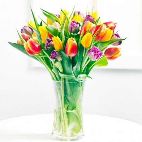 Ramo de tulipanes de temporada, LV#578
Ramo de tulipanes de temporada