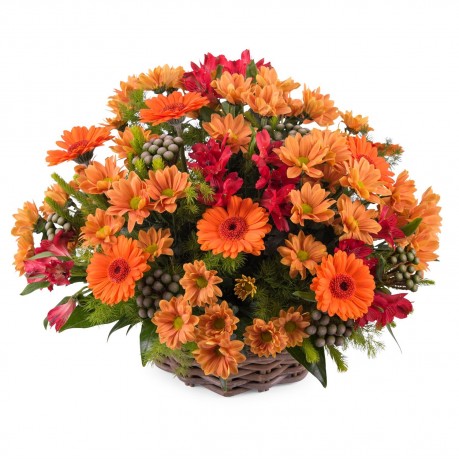 Basket arrangement of mixed flowers, Basket arrangement of mixed flowers