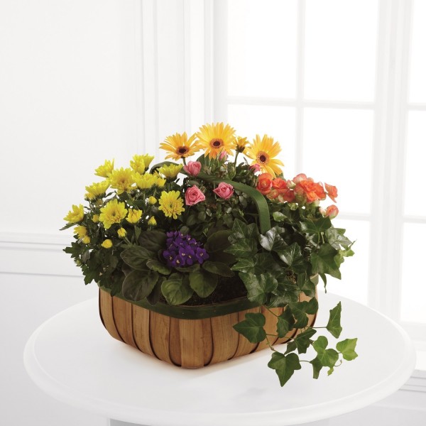 The FTD® Gentle Blossoms™ Basket, The FTD® Gentle Blossoms™ Basket