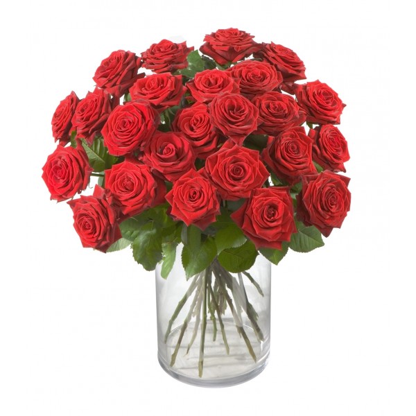 Bouquet of Red Roses "Classics", Bouquet of Red Roses 