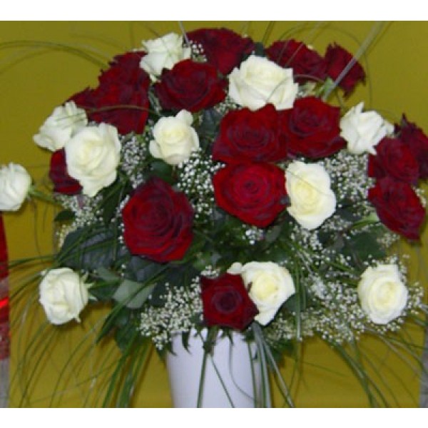Ramo de 24 rosas blanco y rojo de tallo largo, BG#BG1023
Ramo de 24 rosas blanco y rojo de tallo largo