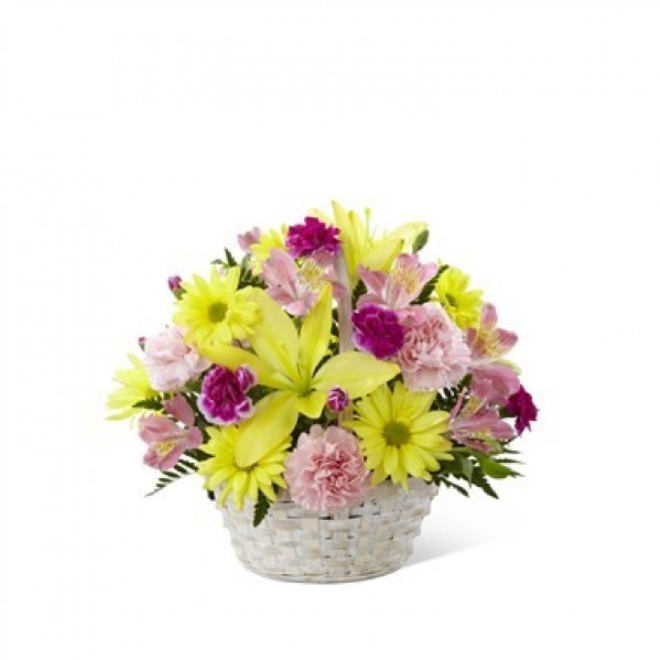 Basket of Cheer, BZ#C13-4840
Basket of Cheer