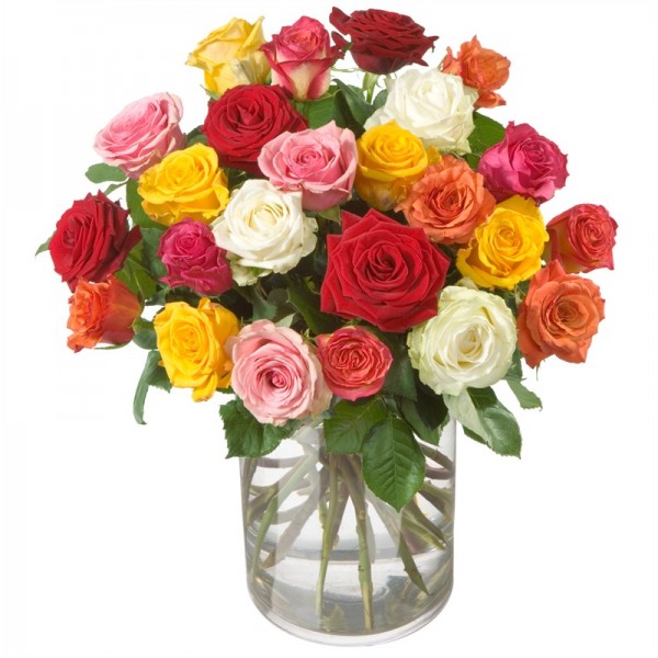 Colorful Bouquet of Roses (24 Roses), CH#CH12789I
Colorful Bouquet of Roses (24 Roses)