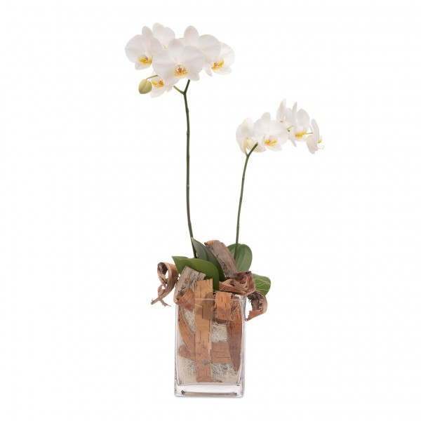 Floral arrangement with white orchid, Floral arrangement with white orchid