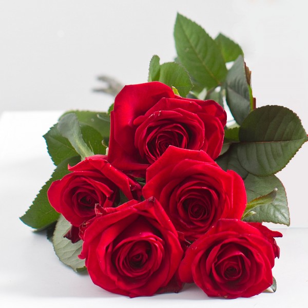 Ramo de 5 rosas rojas, EE#562
Ramo de 5 rosas rojas