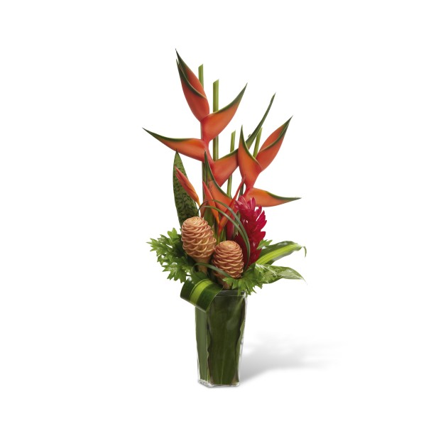 Island Breeze Arrangement, GU#C21-4876
Island Breeze Arrangement