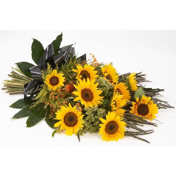 SUNFLOWERS, IL#401
SUNFLOWERS