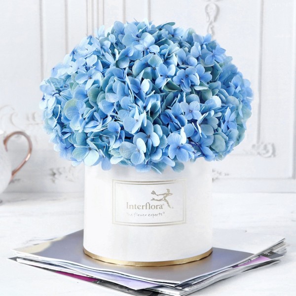 Blue Beauty Flower Box, Blue Beauty Flower Box