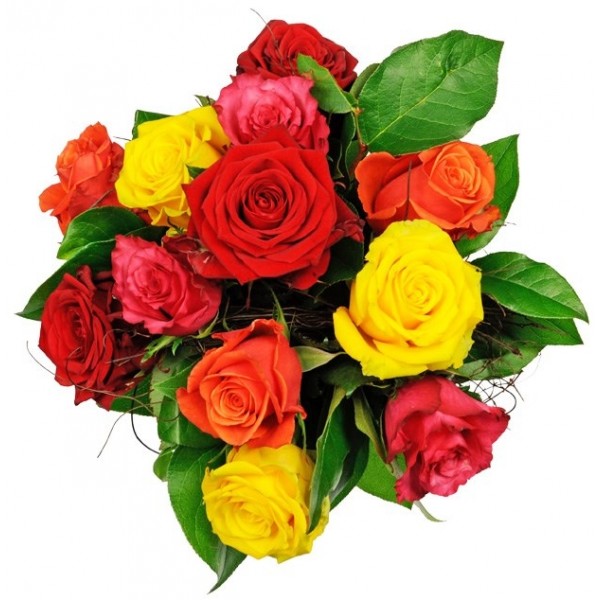 Affection - 12 Mixed Roses, Affection - 12 Mixed Roses