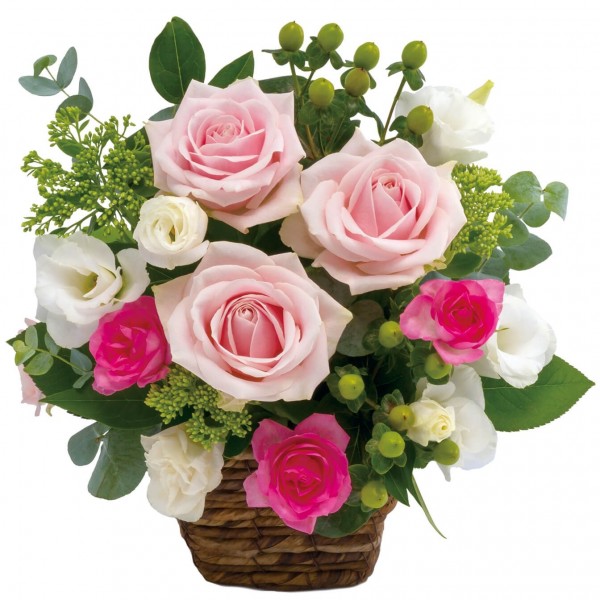 Arrangement of pink shade, Arrangement of pink shade