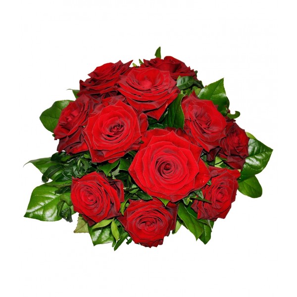 12 Rosas Rojas
, 12 Rosas Rojas
