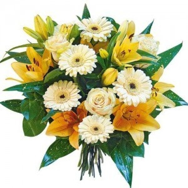 Sweet kiss flowers, Sweet kiss flowers
