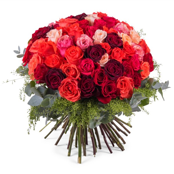 60 Short-stemmed Multicoloured Roses, 60 Short-stemmed Multicoloured Roses
