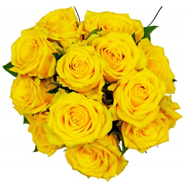 12 Yellow Roses, 12 Yellow Roses