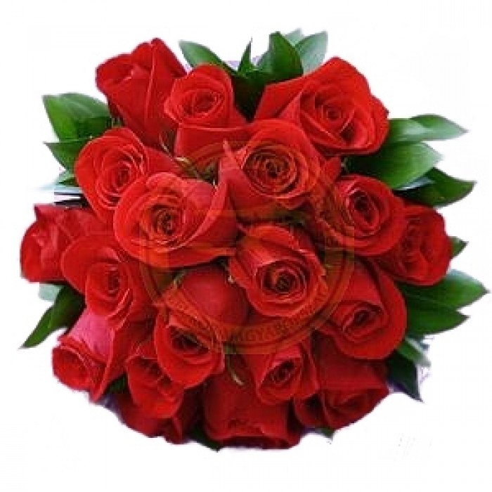 12 rosas de tallo medio, HU#12RM
12 rosas de tallo medio