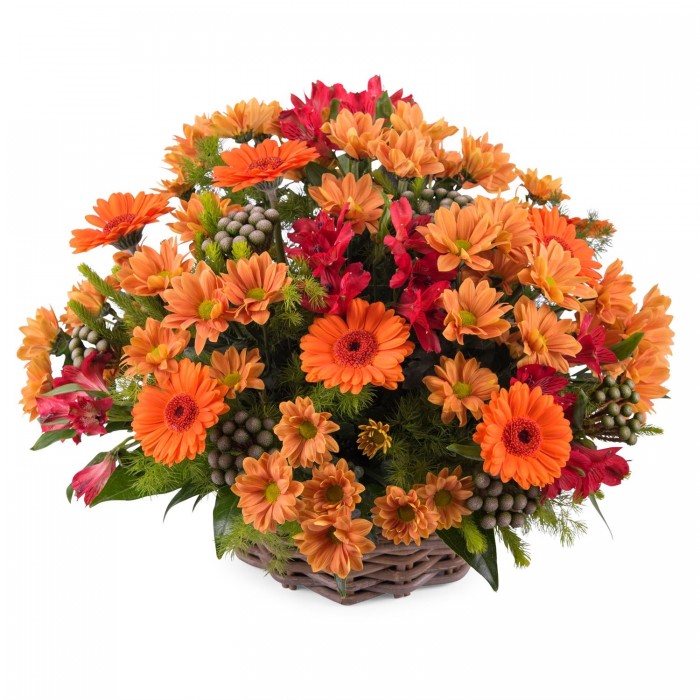 Basket arrangement of mixed flowers, Basket arrangement of mixed flowers