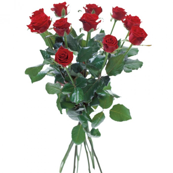 Bouquet with 12 red roses, SE#1201066
Bouquet with 12 red roses