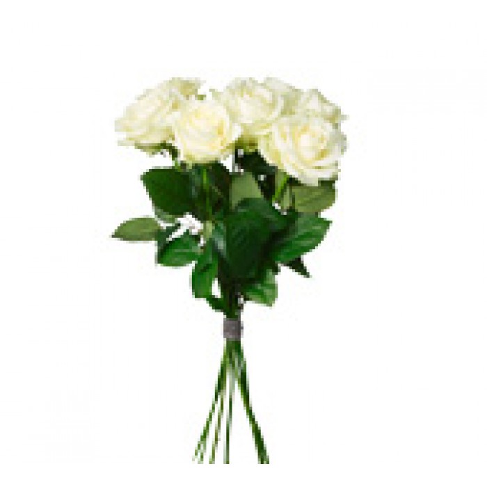 Bouquet White Roses, SE#1201209
Bouquet White Roses