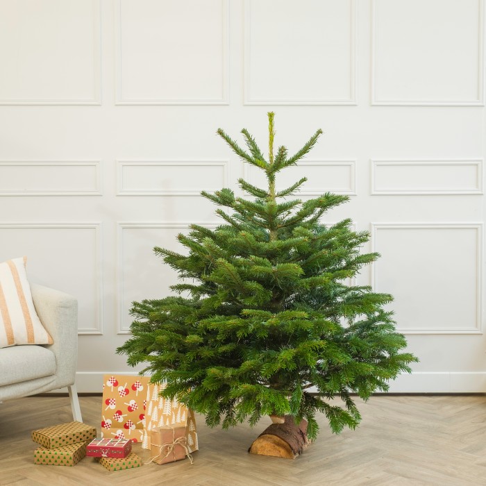 Arbol de Navidad, Creaun ambiente entrañable en tu hogar