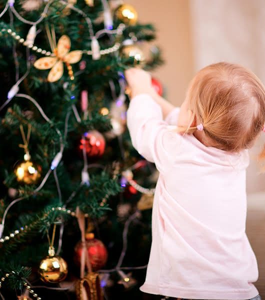 Árboles naturales de Navidad para sorprender a los niños