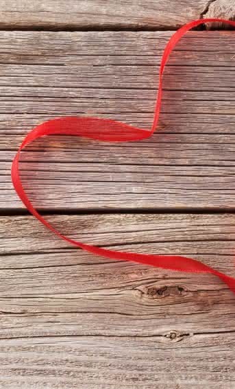 Las mejores flores para regalar en San Valentín
