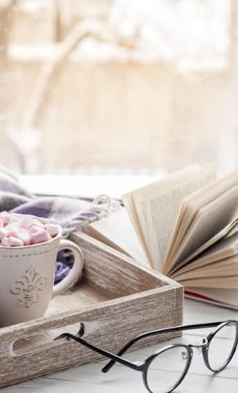 Plantas para decorar tu casa al estilo hygge y empezar un año de felicidad